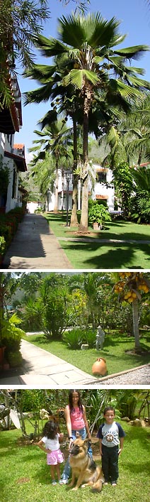 Isla Margarita, Hotel Guacucoresort